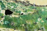 Polished Green-White Opal Slab - Western Australia #132927-1